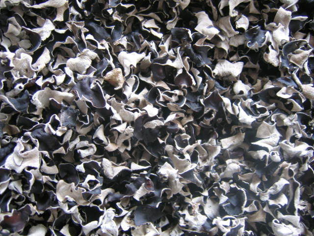 Dried Black White Fungus