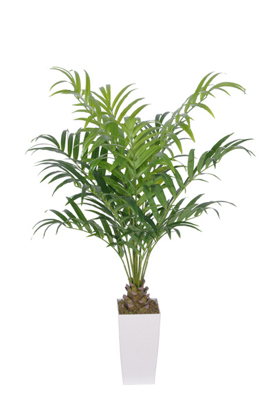 Artificial Areca Palm