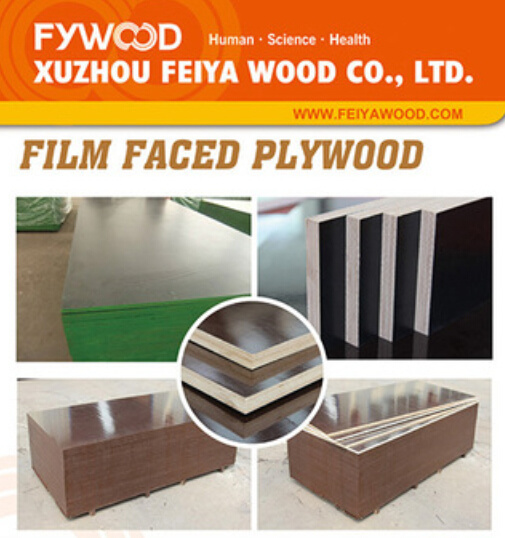 Brown Film Shuttering Plywood with Melamine Glue (FYJ1537)