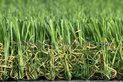 Landscape Grass