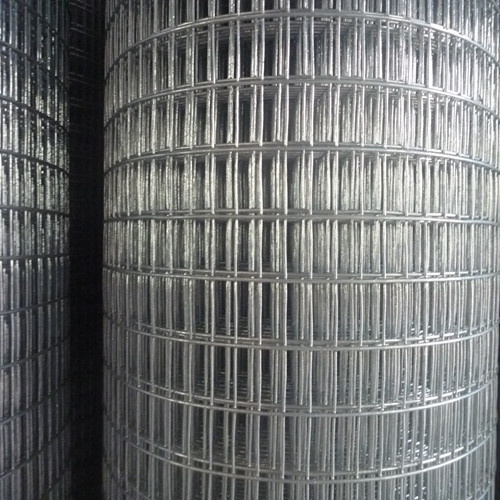Galvanized Welded Wire Mesh