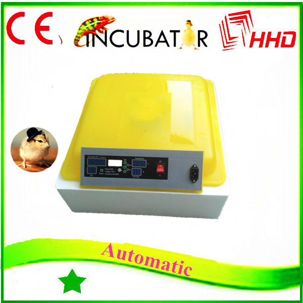 Hatching Different Eggs Incubator Hatching Chicken Eggs