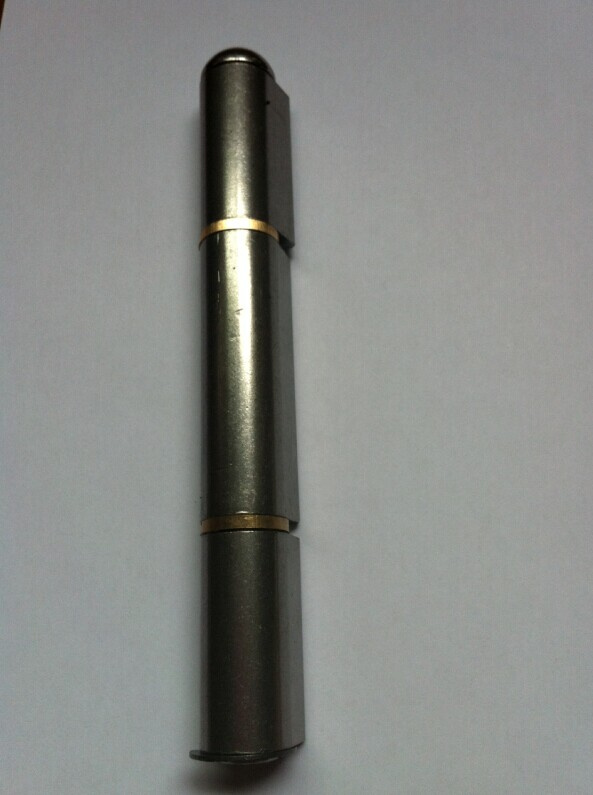 Hinge-Rsp