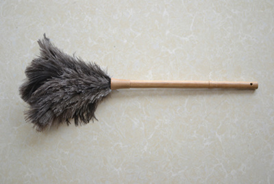 Feather Duster