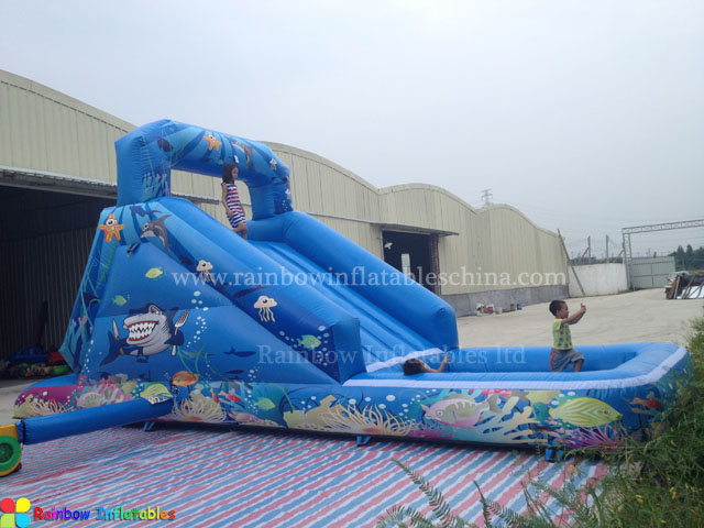 Fish Digital Printing Water Slide, Slide with Pool (RB7009)