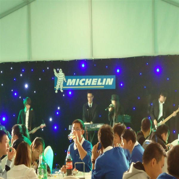 Variable LED Star Curtain