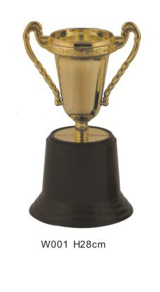 Cup With Plastic Base Trophy (W001) 