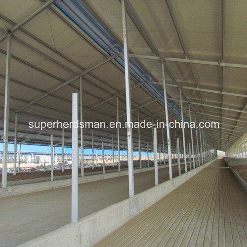 High Quality Prefab Steel Poultry Shed and House