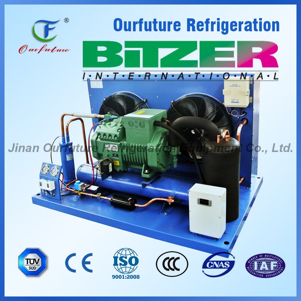 Bitzer 110V 60Hz Condensing Unit for Wine Cellar
