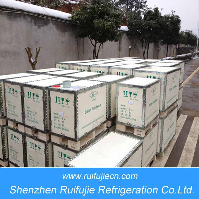 Brilliant Refrigeration Semi-Hemertic Compressor (YBF4VCS-6.2)