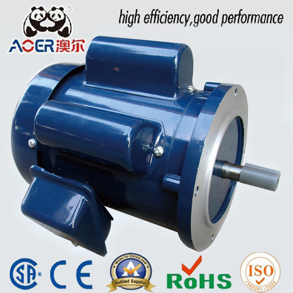 Low Speed 110V High Torque Induction AC Single Phase Electric Motor
