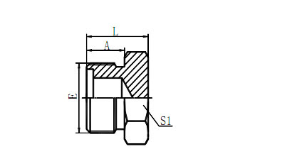 Hydraulic Fitting 4E