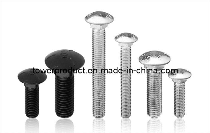 Round Head Carriage Bolt (DIN 603) (MGS-CB008)