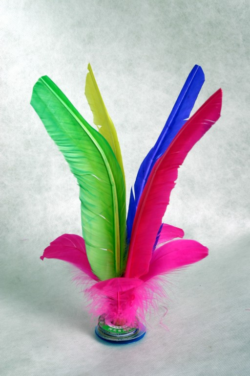 Shuttlecock