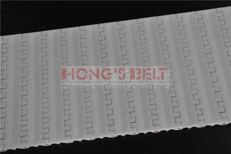 Modular Conveyor Belt for Food with FDA Certificate (HS-200A-HD)