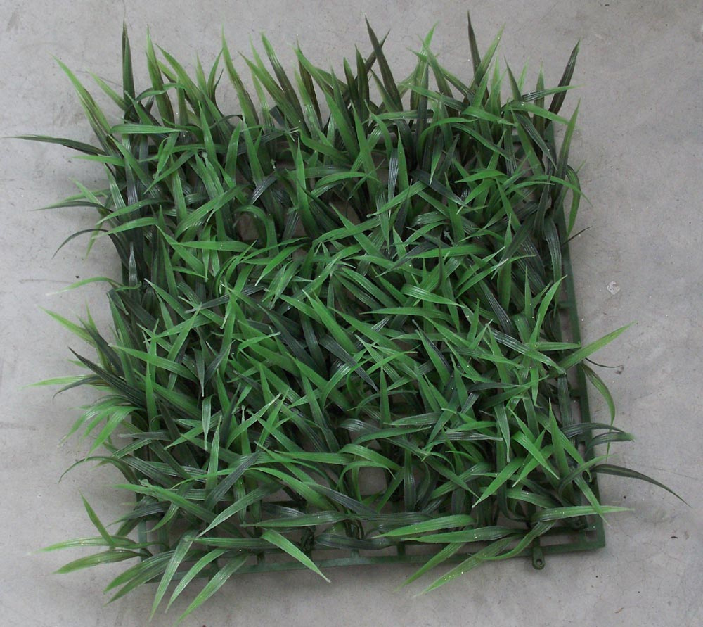 Boxwood Grass