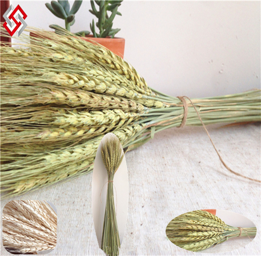 Artificial Faux Plastic Interior Decor Plant Wheat Flower (AF-W)