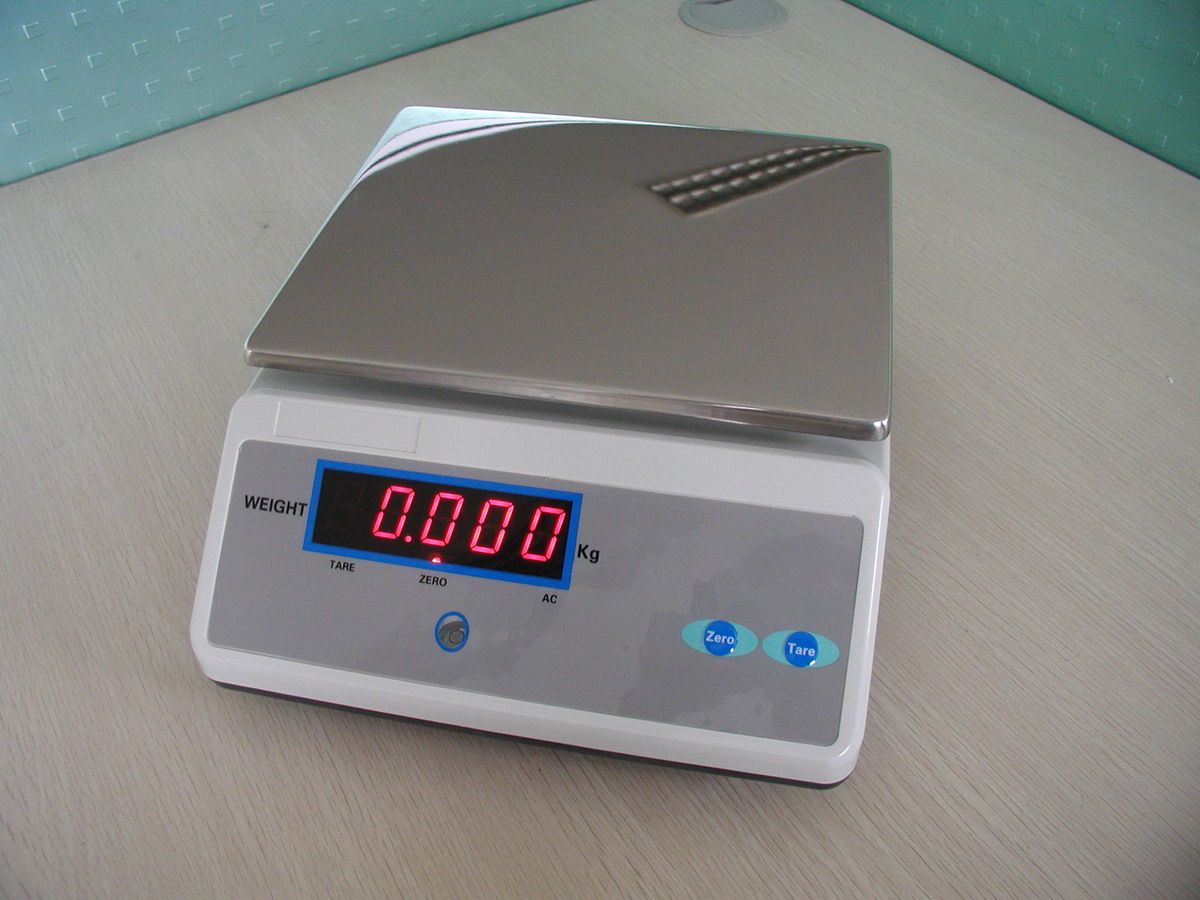 Electronic Scale