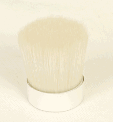 Bleach Bristles
