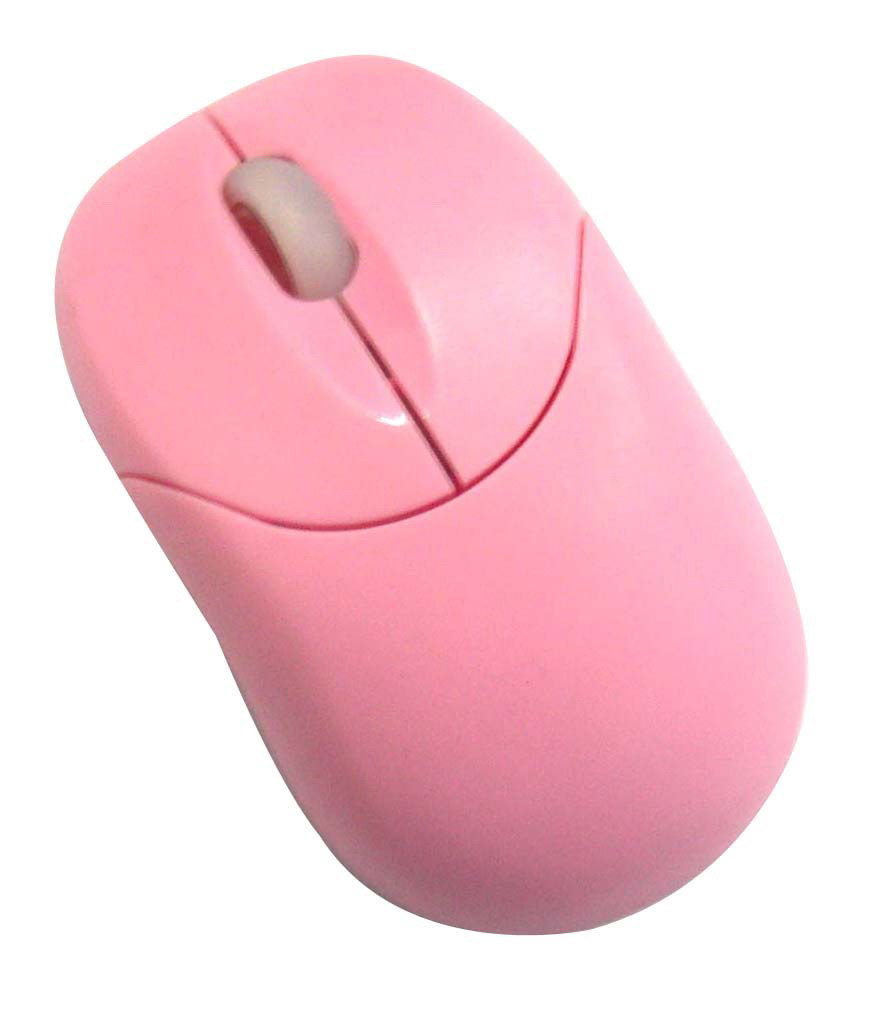 Mouse (AM-302)