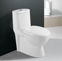 Ceramic Toilet (G-5563)