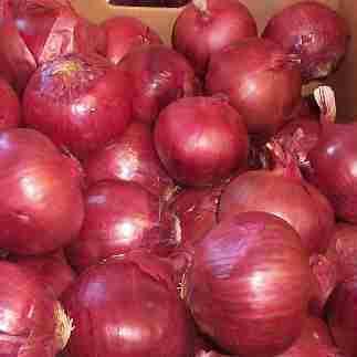 Healthy Export Refined Fresh Onion (red/yellow)