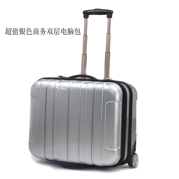 PC Luggage Beauty Travel Case Trolly Suitcase (HX-W3620)