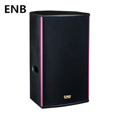 High Quality Loudspeaker for Stage and Room Show