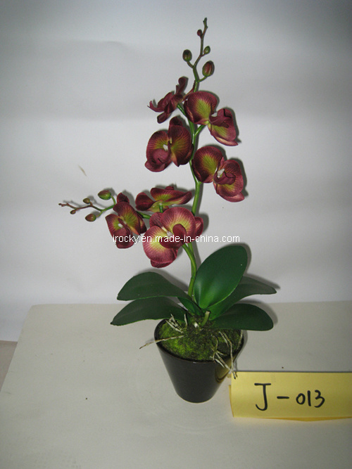 Artificial Flower and Plant (J-013d)