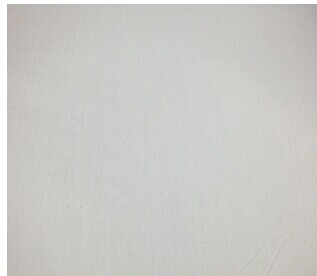 Home Textile Fabric/Grey Fabric/Knitting//Burnout/Embossed