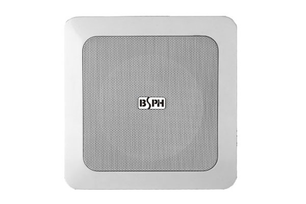 Ceiling Loudspeaker