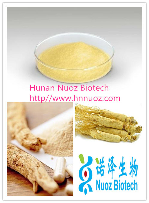 American Ginseng Root Extract 14%