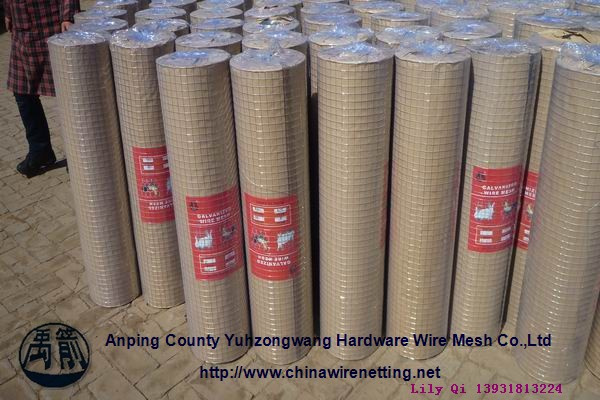 Welded Wire Mesh