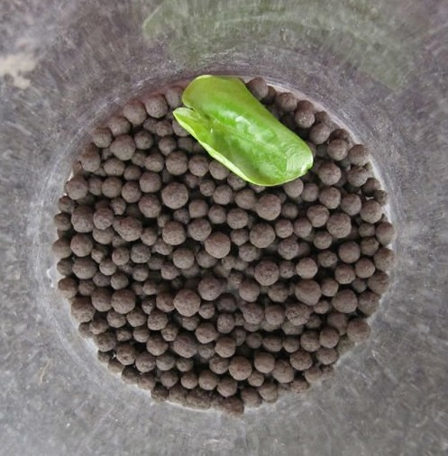 Binary Fertilizer
