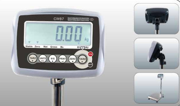 Platform Scale