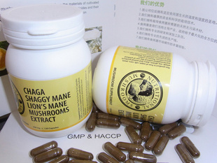 Mushrooms Extract Capsule (Chaga extract; Lion's Mane extract; Shaggy Mane extract)