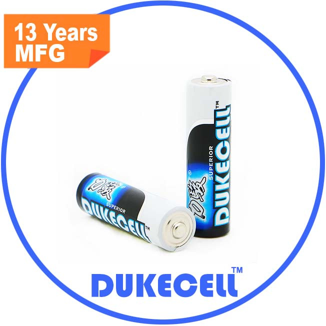 Camera Battery