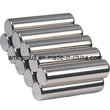 Nm-99 Ring NdFeB Magnet From China Amc