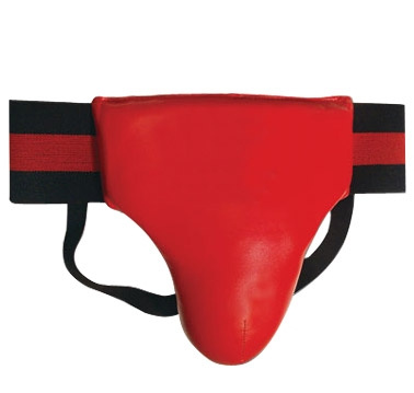 Groin Protector