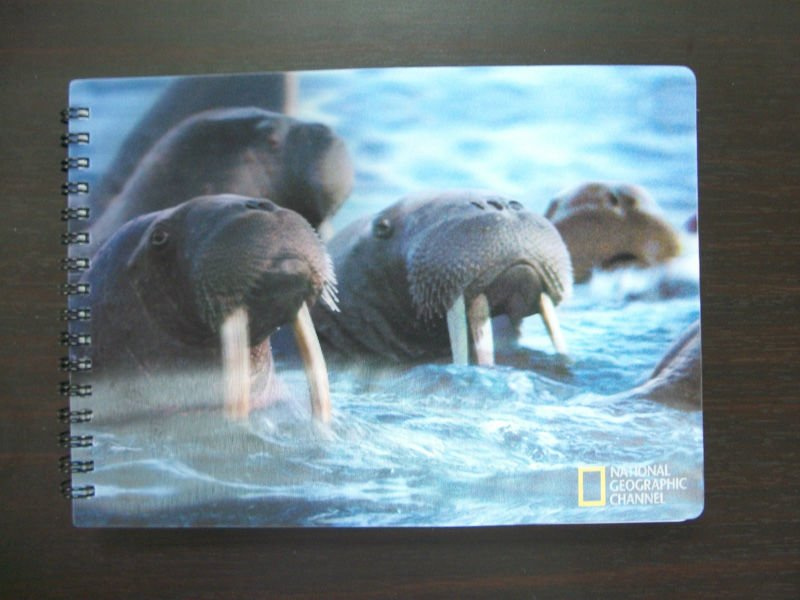2015 Personalized High Quality Notebooks in 3D Technology