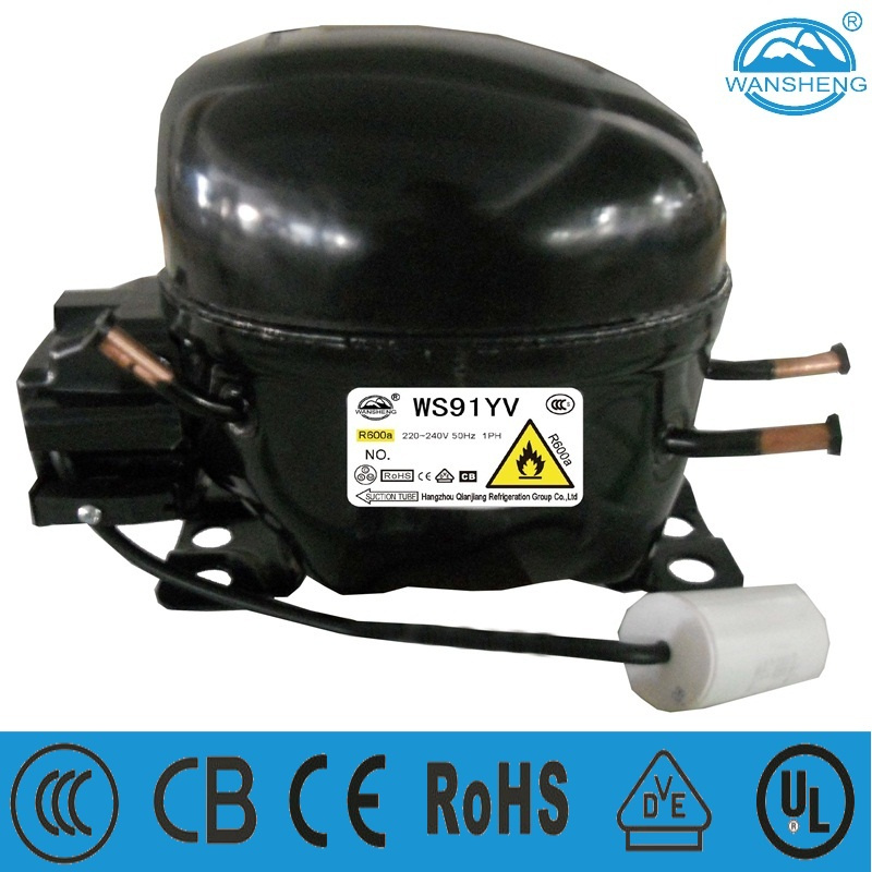 R600A Piston Ws Series Ws91yv Refrigeration Compressor