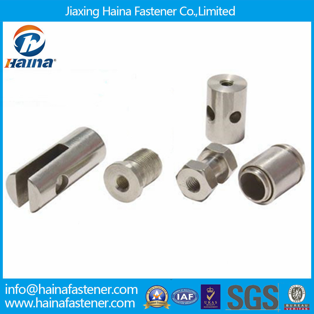 Non-Standard Fastener for Custom in Stainless Steel (OEM)