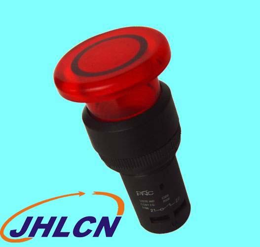 Push button Switch (ED2S)