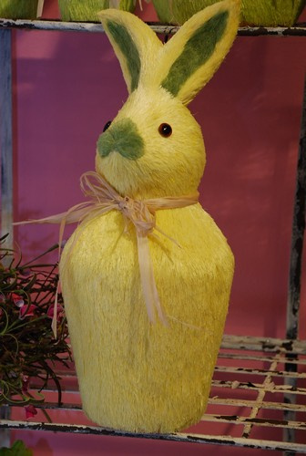 Rabit