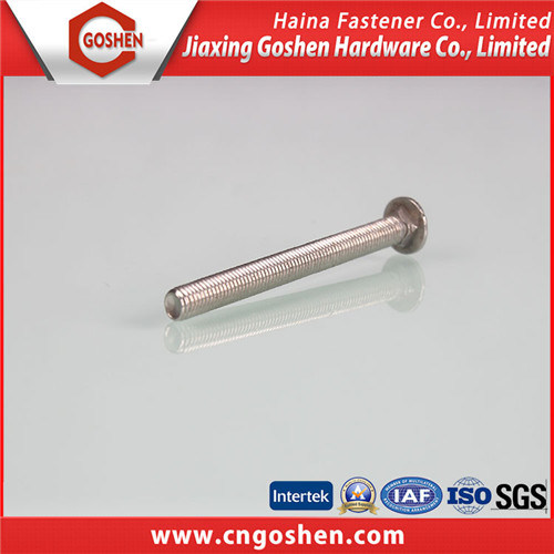 316 Stainless Steel Flat Head Carriage Bolt