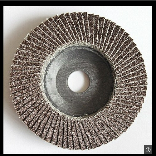 120# Abrasive Flap Disc with Nylon Back