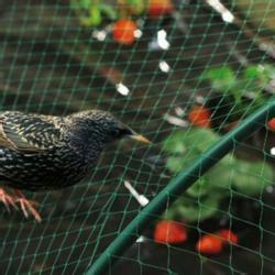 100% New HDPE Plastic Anti Bird Net (ISO)