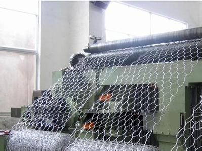 Hexagonal Wire Netting
