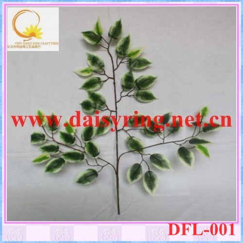 Artificial Leaf