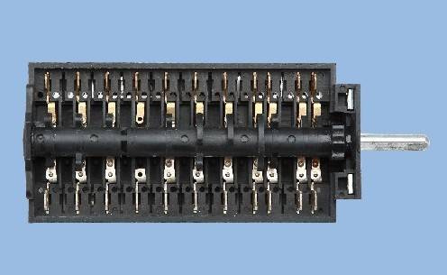 Rotary Switch